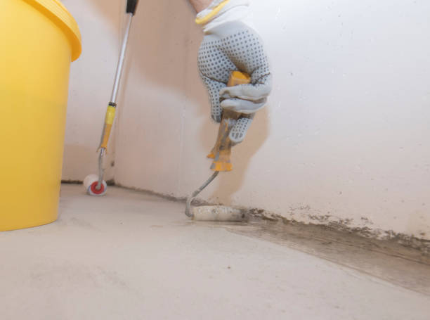 Best Pest Prevention Services  in USA